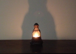 raja-yoga
