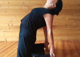 Hatha yoga per la postura